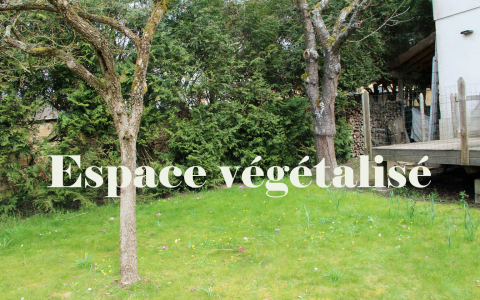 Espace végétalisé_1